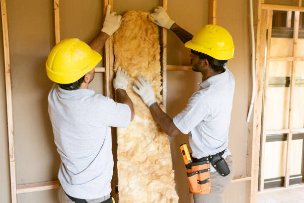 Best Residential Insulation Services  in Valley Falls, KS