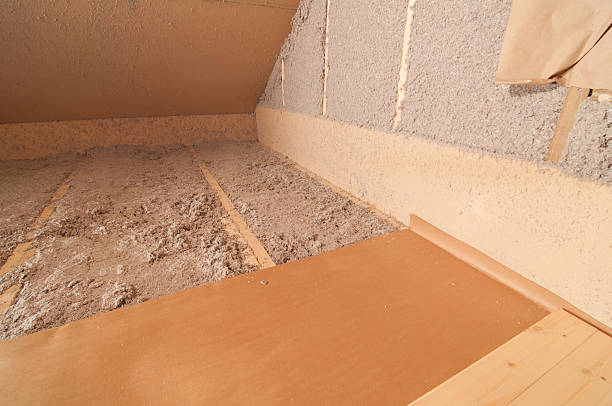 Best Insulation Removal  in Valley Falls, KS